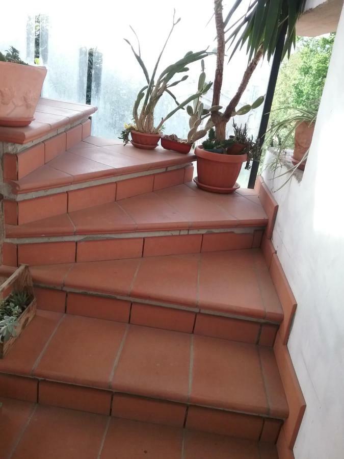 טרני Appartamento Relax מראה חיצוני תמונה
