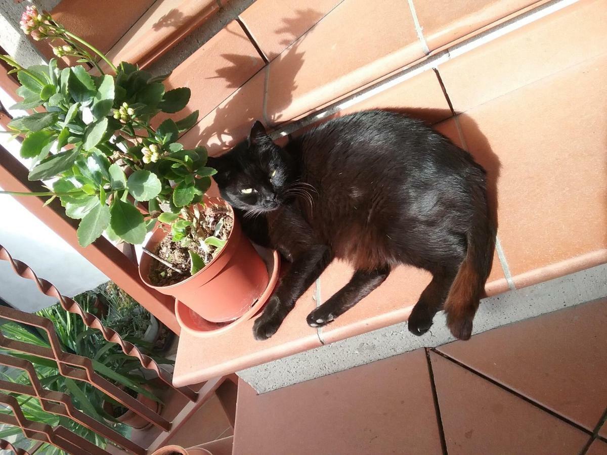 טרני Appartamento Relax מראה חיצוני תמונה